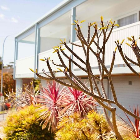 Mollymook Motel Ngoại thất bức ảnh