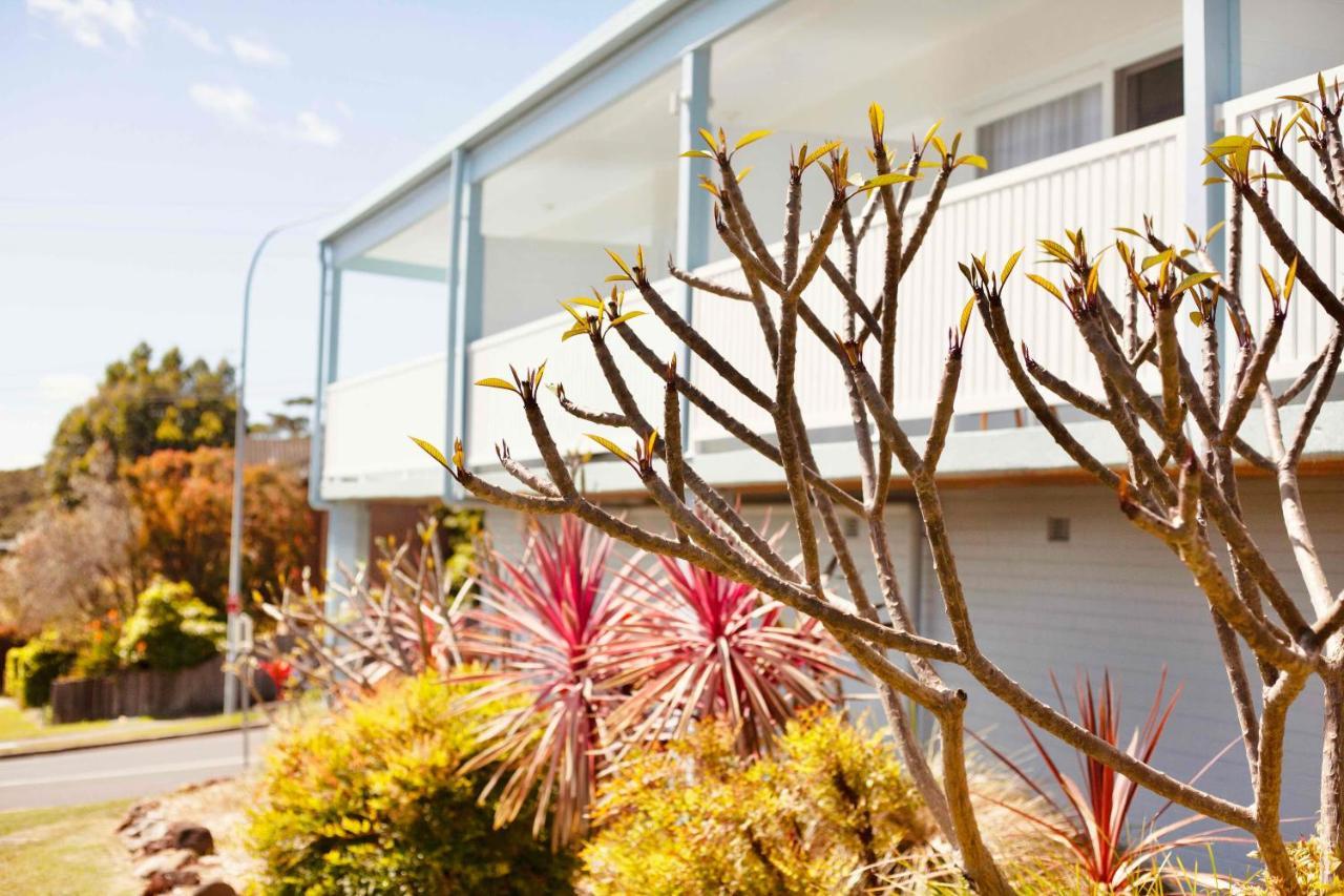 Mollymook Motel Ngoại thất bức ảnh